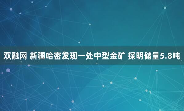 双融网 新疆哈密发现一处中型金矿 探明储量5.8吨