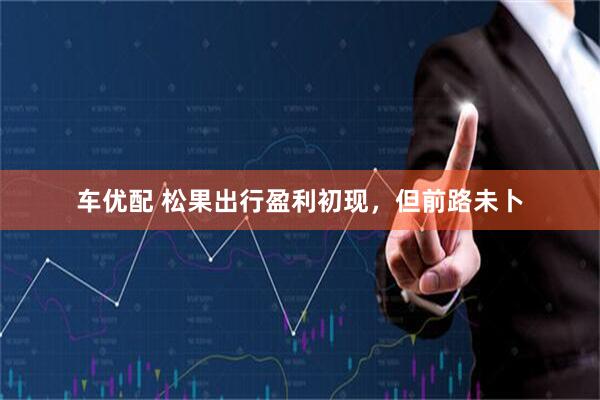 车优配 松果出行盈利初现，但前路未卜