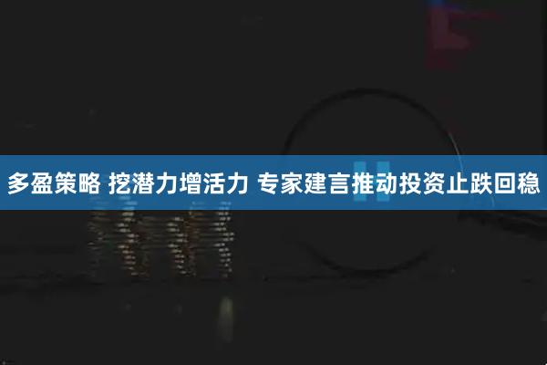 多盈策略 挖潜力增活力 专家建言推动投资止跌回稳
