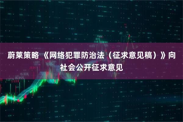 蔚莱策略 《网络犯罪防治法（征求意见稿）》向社会公开征求意见