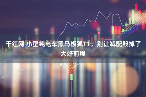 千红网 小型纯电车黑马极狐T1，别让减配毁掉了大好前程