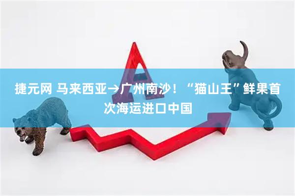捷元网 马来西亚→广州南沙!“猫山王”鲜果首次海运进口中国