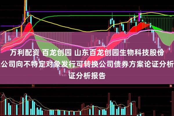 万利配资 百龙创园 山东百龙创园生物科技股份有限公司向不特定对象发行可转换公司债券方案论证分析报告