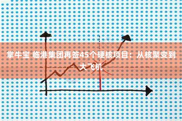掌牛宝 临港集团再签45个硬核项目：从核聚变到大飞机
