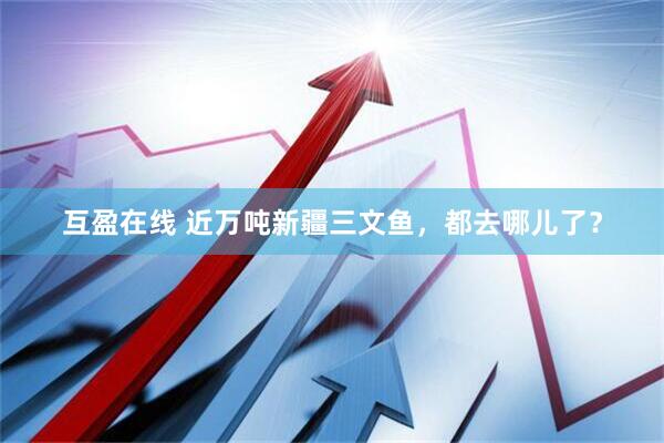 互盈在线 近万吨新疆三文鱼，都去哪儿了？